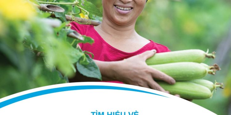 Sổ Tay Tìm Hiểu Về Thực Phẩm Có Chứng Nhận Hữu Cơ PGS Và Thực Hành Nông Nghiệp Tốt GAP