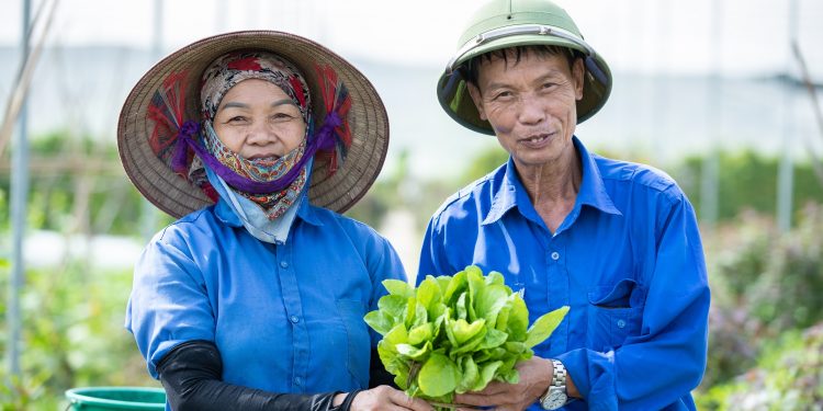 Phóng sự Hiểu đúng về thực phẩm hữu cơ trên VTV